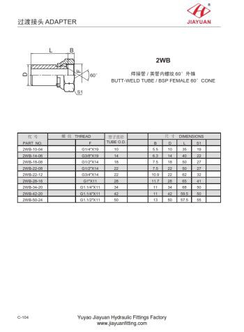 Butt Weld To BSP Swivel Fittings